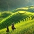 Sapa Tour + Bac Ha Market By Bus 2 Days 1 Night Hotel in Sapa