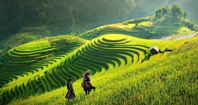 Sapa Tour By Bus 2 Days 1 Night 3-Star Hotel in Sapa (Option 1)