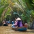 Mekong Delta Tour ( My Tho - Ben Tre) One Day