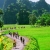 Hanoi: Hoa Lu, Trang An Caves, & Mua Cave Day Trip and Lunch